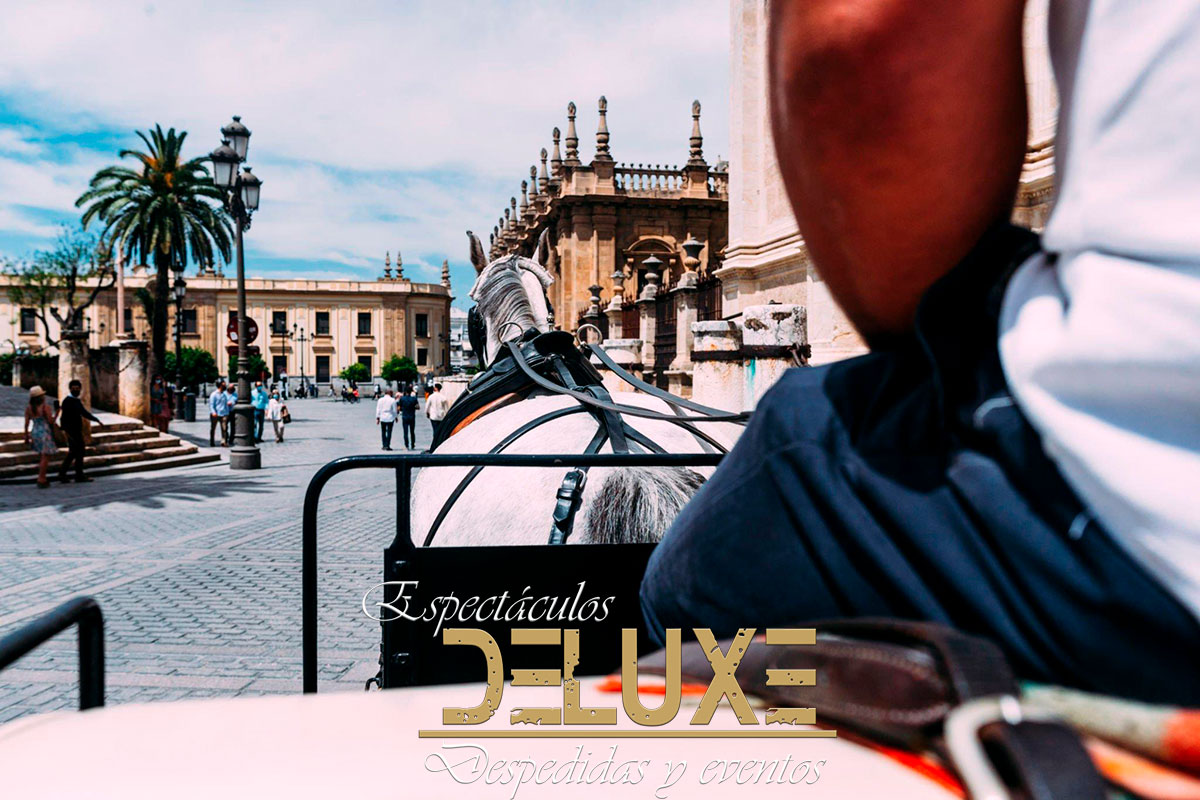 Paseo en Coche de Caballos Sevilla